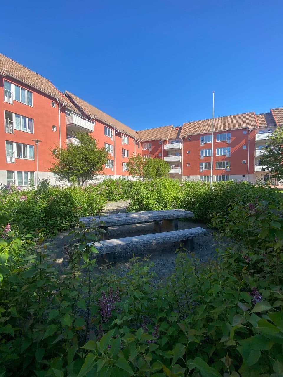 Bild 6 av 10