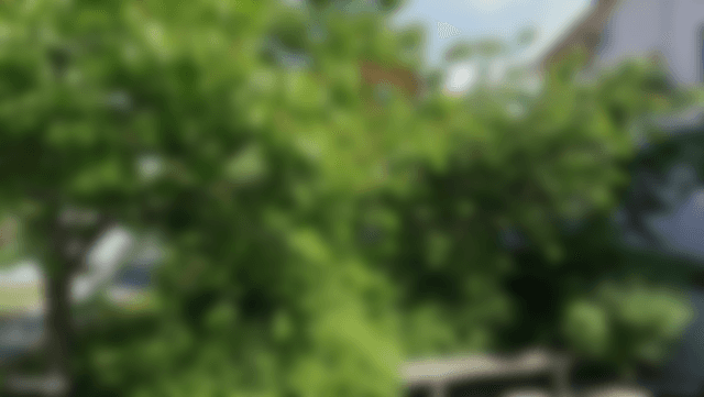 Lägenhetsbild (skapa konto för att se hela bilden)
