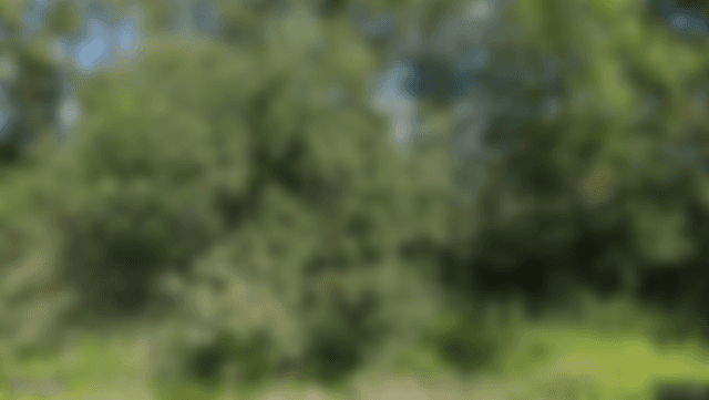 Lägenhetsbild (skapa konto för att se hela bilden)