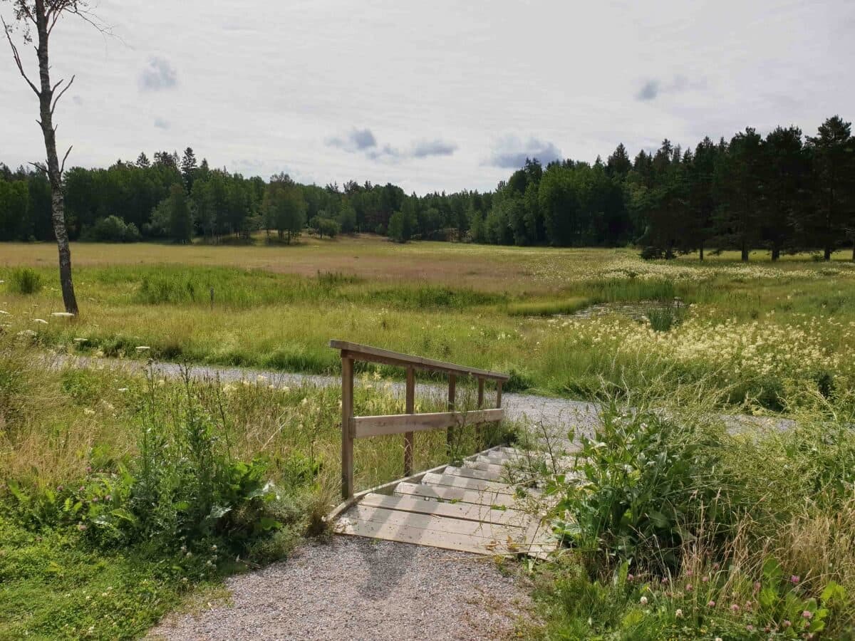 Bild 9 av 10
