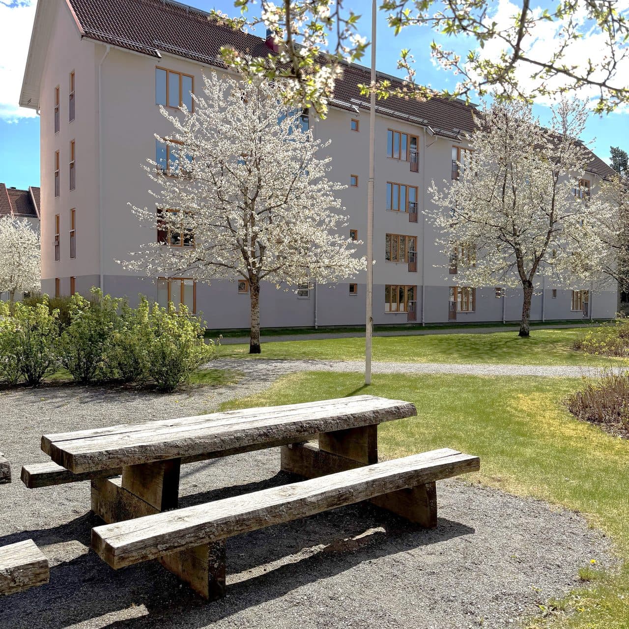 Bild 9 av 10