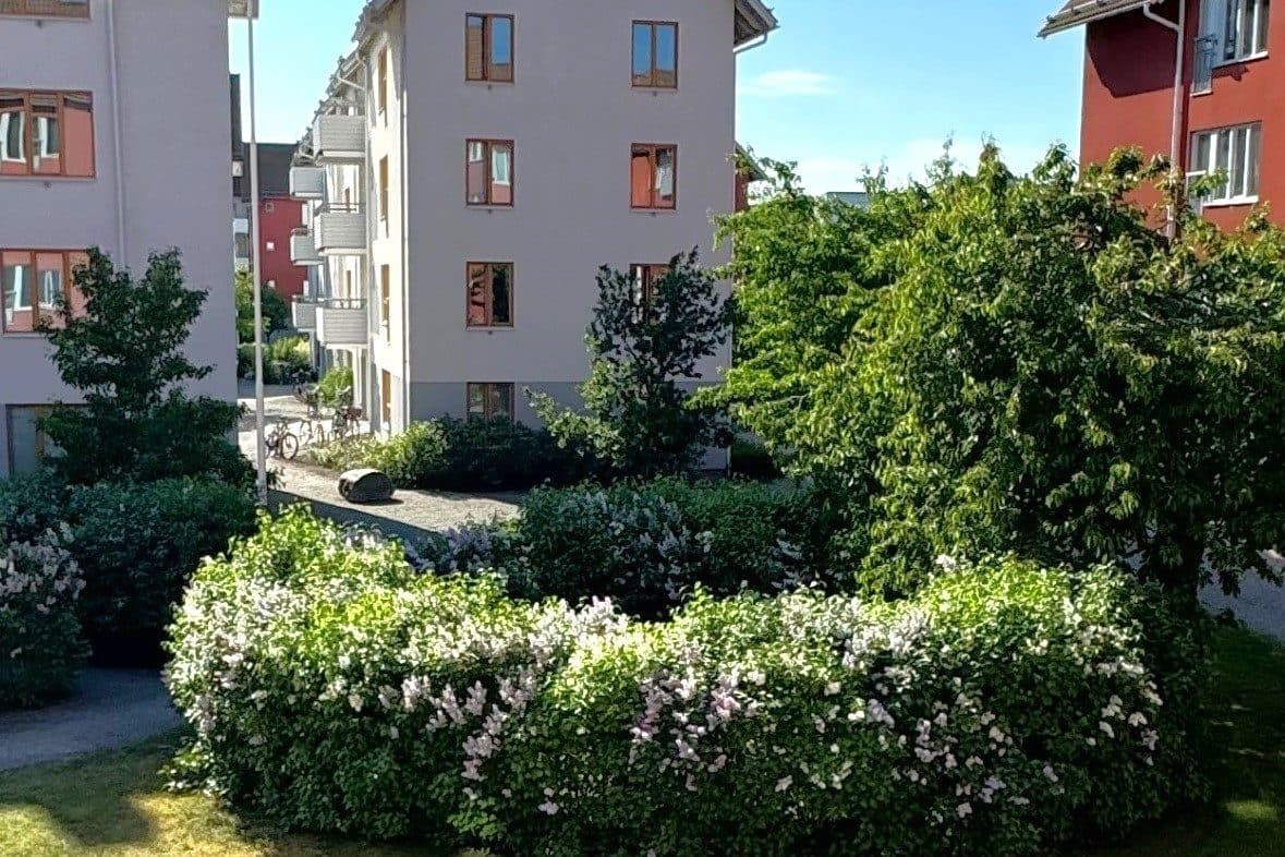 Bild 4 av 10