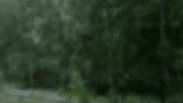 Lägenhetsbild (skapa konto för att se hela bilden)