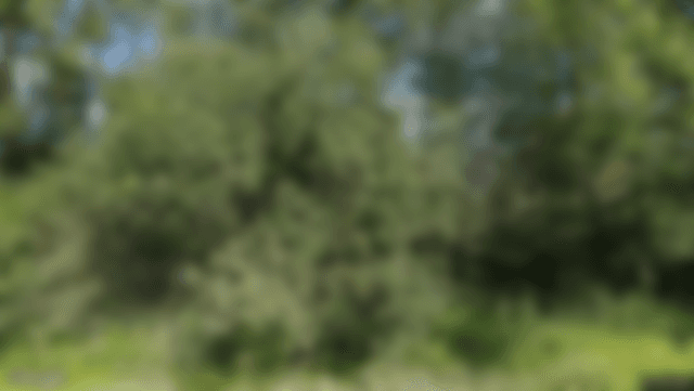Lägenhetsbild (skapa konto för att se hela bilden)