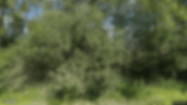 Lägenhetsbild (skapa konto för att se hela bilden)